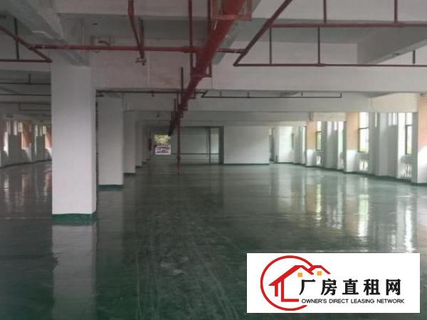  大朗原房东独门独院4800平方