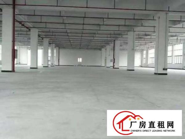  大朗镇松柏朗配置齐全产业园出租