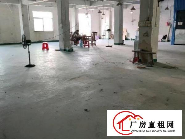  大朗镇蔡边村独栋厂房出租可分租
