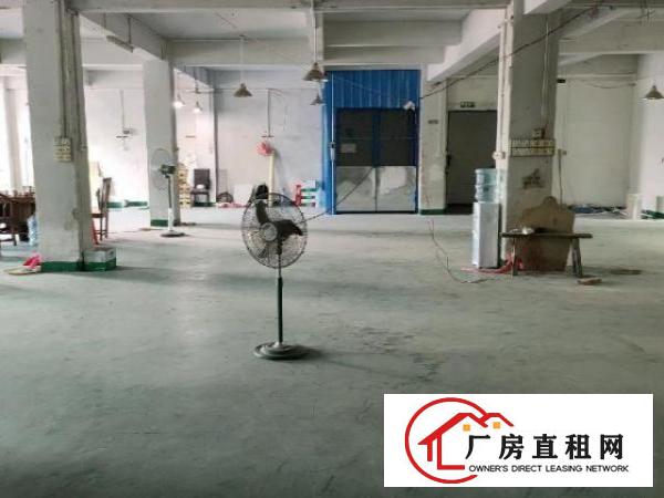  大朗镇蔡边村独栋厂房出租可分租