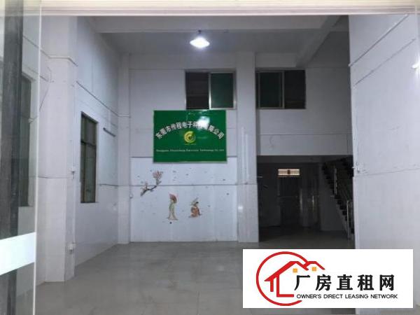  一手房东出租，价格优惠