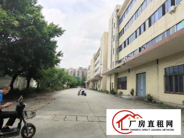  新空出标准厂房单一层钢构出租