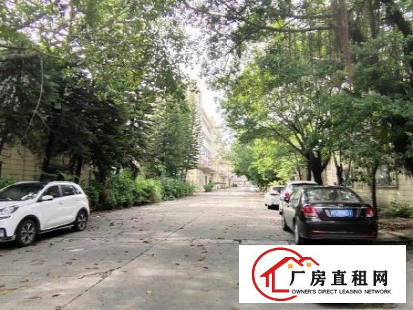  新空出标准厂房单一层钢构出租
