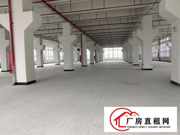  新空出标准厂房单一层钢构出租
