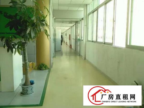  （阳极氧化环评）大朗现新空出1250平方厂房大小可分租