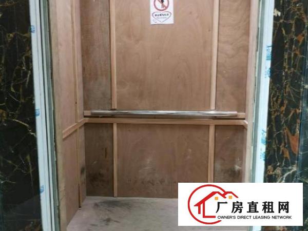  可分租/全新厂房出租/带电梯/水电齐全