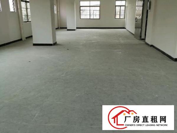  可分租/全新厂房出租/带电梯/水电齐全