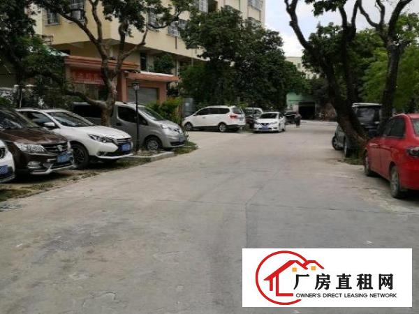  可分租/全新厂房出租/带电梯/水电齐全