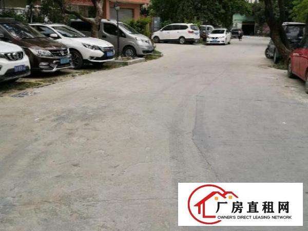  可分租/全新厂房出租/带电梯/水电齐全