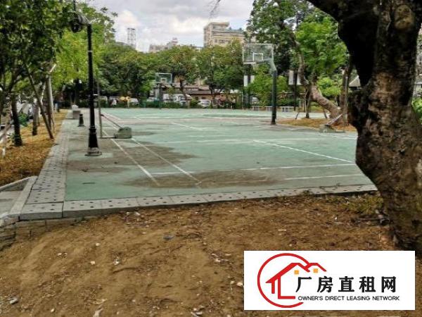  可分租/全新厂房出租/带电梯/水电齐全