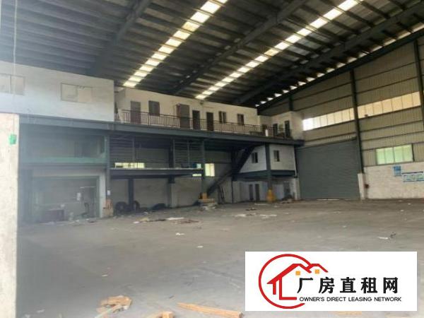  大朗富民大道边13米高厂房3000多平