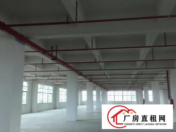  原房东厂房出租不收任何杂费