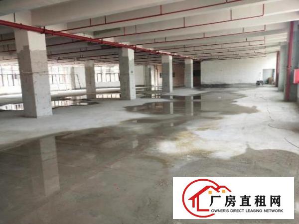  原房东厂房出租不收任何杂费