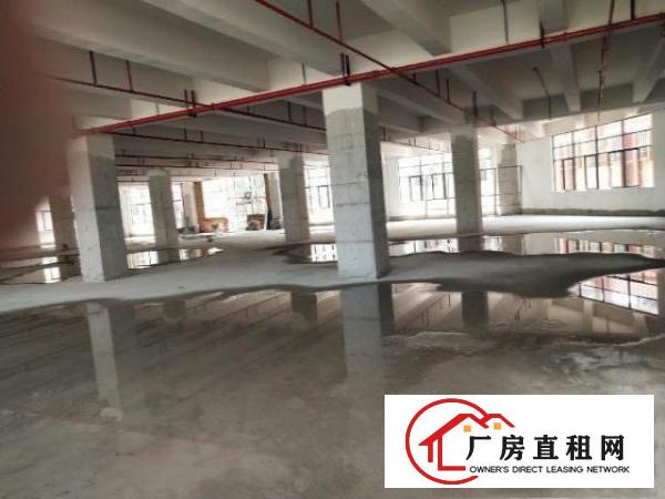  原房东厂房出租不收任何杂费