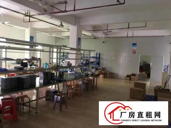  带豪华装修，可以拎包入住