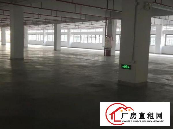  松山湖标准工业园科技园厂房出租