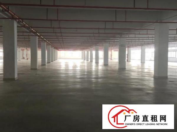  松山湖标准工业园科技园厂房出租