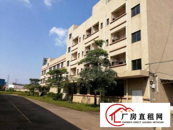  大朗镇单一层独院钢构厂房11000平方