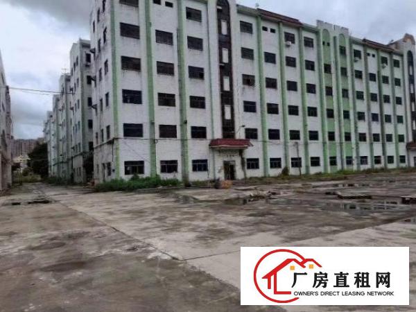  大朗新岀独院厂房可做月饼临时仓库(大小可分租)