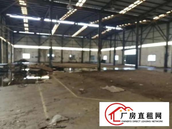  大朗新岀独院厂房可做月饼临时仓库(大小可分租)