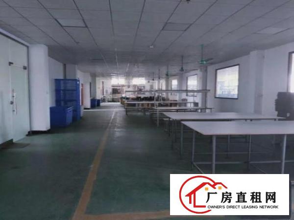  大井头原房东厂房出租