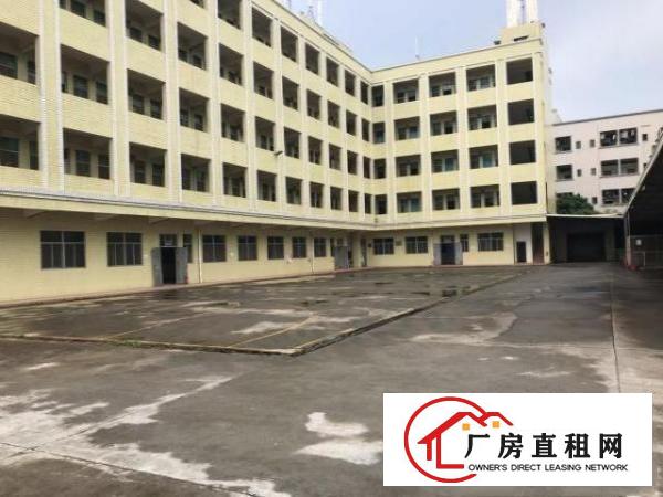  大朗新出独门独院标准厂房10000平现成装修高度6米