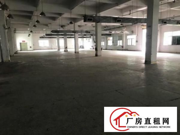  大朗新出独门独院标准厂房10000平现成装修高度6米