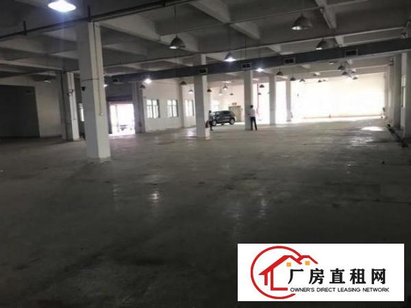  大朗新出独门独院标准厂房10000平现成装修高度6米