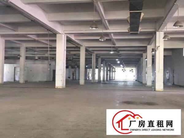  大型工业区分租楼上厂房
