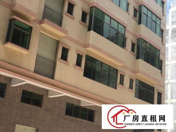  原房东新建电梯厂房，每层300m²
