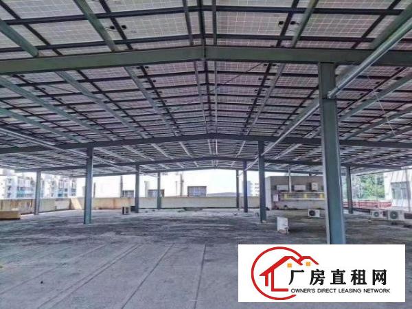  大朗新马莲原房东钢构招租