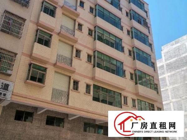  原房东新建电梯厂房出租，300m²每层