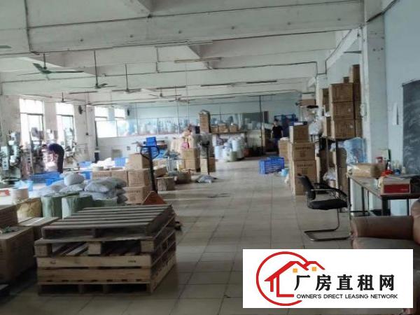  出租大朗松柏朗200平厂房交通方便，水电齐全，可看楼盘