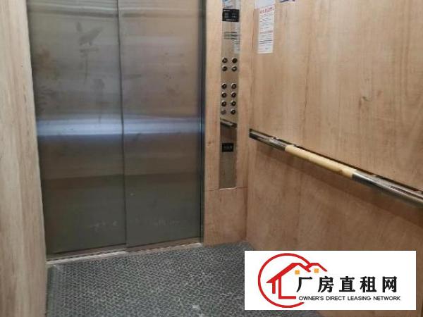  原房东新建电梯厂房300m²每层