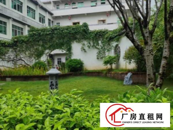  大朗中心独院厂房免费停车
