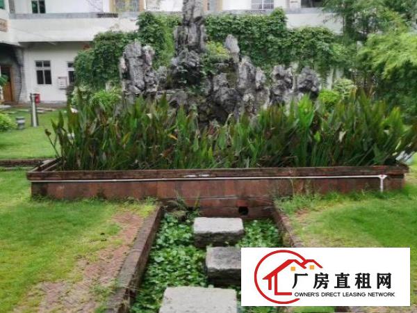  大朗中心独院厂房免费停车