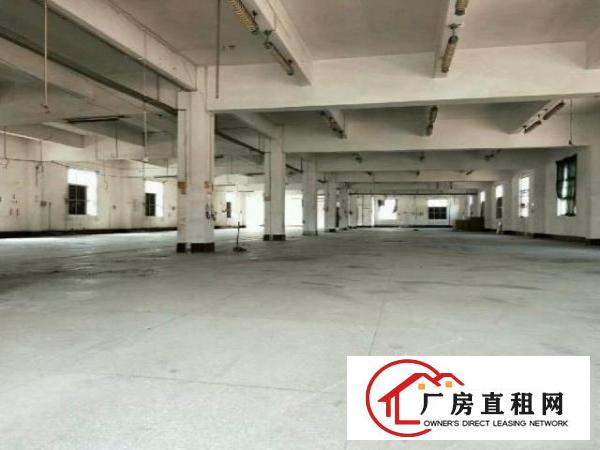  独门独院厂房出租原房东