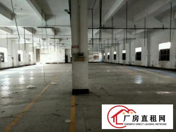  独门独院厂房出租原房东