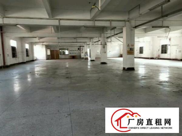  独门独院厂房出租原房东