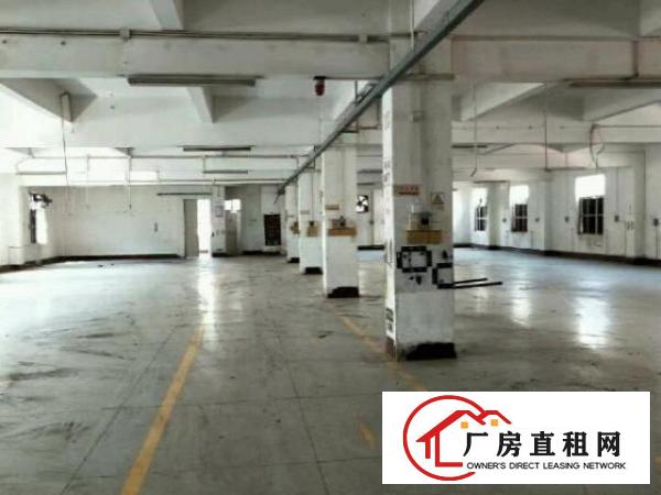  独门独院厂房出租原房东