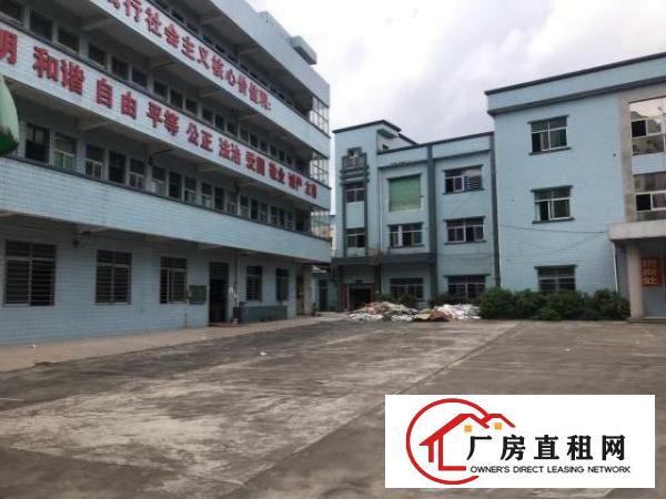 大朗原房东分租标准厂房一楼1000平现成装修
