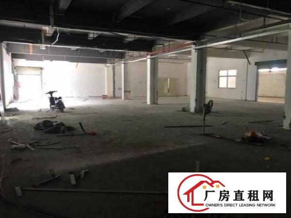  大朗原房东分租标准厂房一楼1000平现成装修