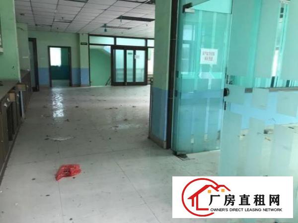  大朗原房东分租标准厂房一楼1000平现成装修