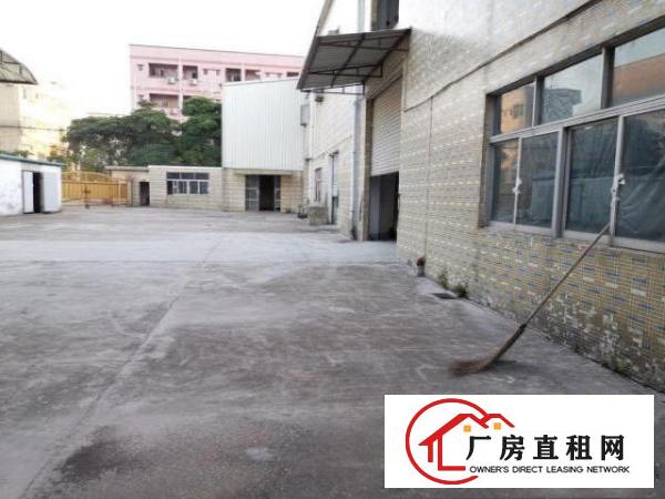  大朗镇独院厂房3600㎡钢结构厂房招租