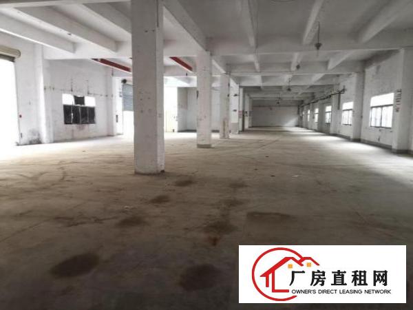  大朗镇独院厂房3600㎡钢结构厂房招租