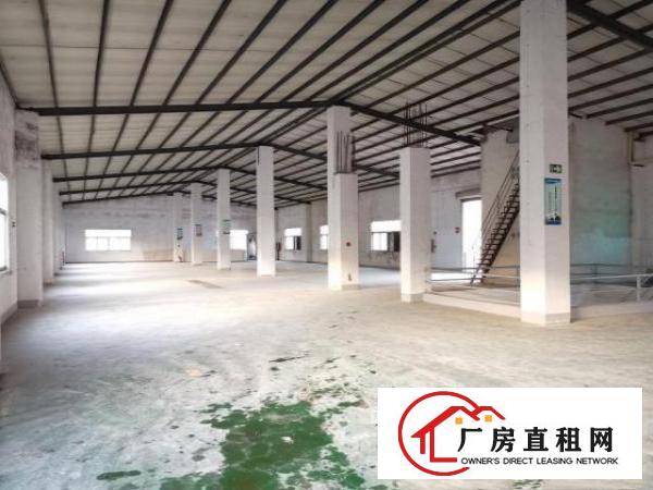  大朗镇独院厂房3600㎡钢结构厂房招租