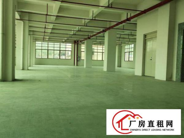  大朗镇水口工业园厂房一楼900平招租