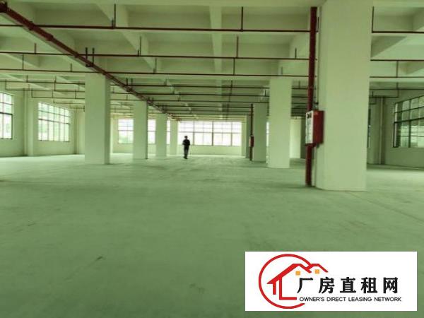  大朗镇水口工业园厂房一楼900平招租