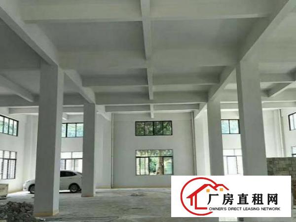 杨涌6米高一楼厂房出租