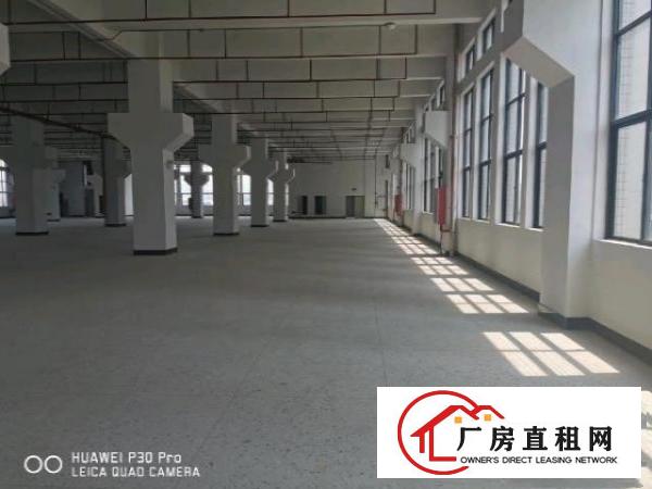  便宜好看有时会高大上